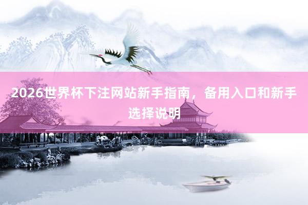 2026世界杯下注网站新手指南，备用入口和新手选择说明