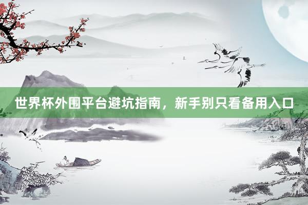 世界杯外围平台避坑指南，新手别只看备用入口