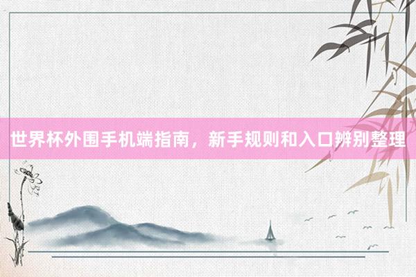 世界杯外围手机端指南,新手规则和入口辨别整理